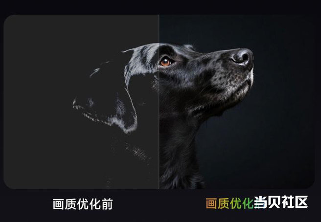 aa02679a400e467588cd847b3ddf9d8d~tplv-tt-origin-web:gif.jpeg?_iz=58558&from=article.pc_detail&lk3s=953192f4&x-expires=1755828633&x-signature=VanMv9A1w4y%2FHeYWnR0adCu3EwM%3D