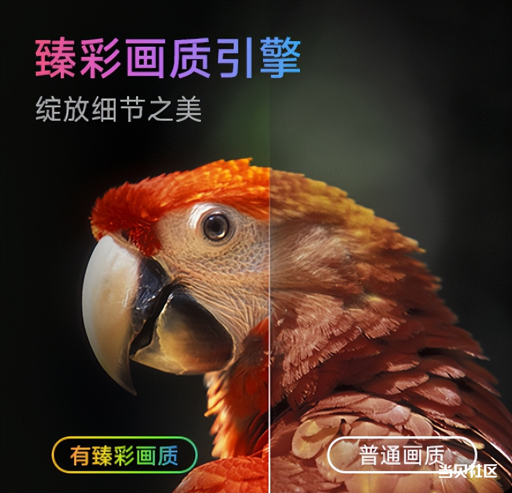 fd165c05db3641329d3365c5088213bb~tplv-tt-origin-web_gif.jpeg