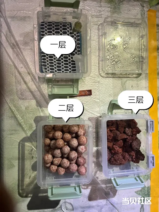 鱼缸水质差？教你选对搭好过滤棉，轻松养出好水