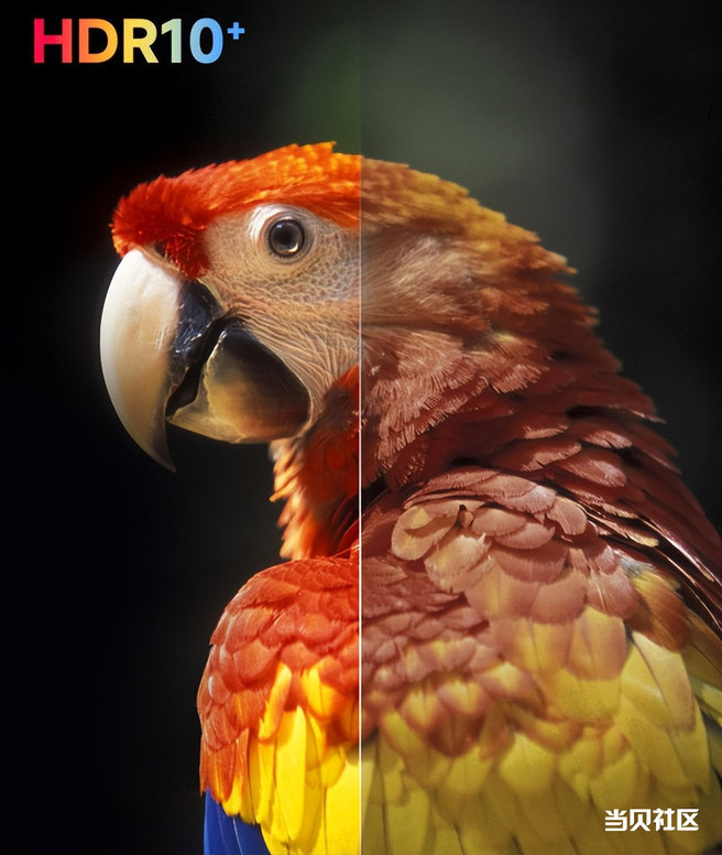 8614d60c4cc74e8786a61f821217d3bc~tplv-tt-origin-web:gif.jpeg?_iz=58558&from=article.pc_detail&lk3s=953192f4&x-expires=1756173687&x-signature=EaFK3SCqRnEsmUKTSZeDIiDDViU%3D