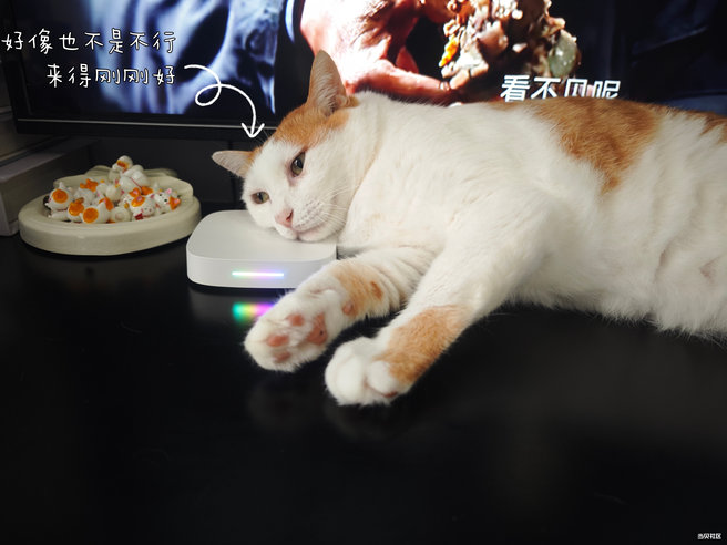 9f33efa1c92043ea87525d1e8f80db9f~tplv-tt-origin-web:gif.jpeg?_iz=58558&from=article.pc_detail&lk3s=953192f4&x-expires=1756286535&x-signature=sS%2FOvaN1eogRlPxRkltccNKwS70%3D