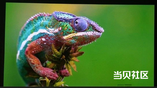 当贝X5S Max与坚果N3 Pro投影仪开箱对比 实测谁才是观影优选