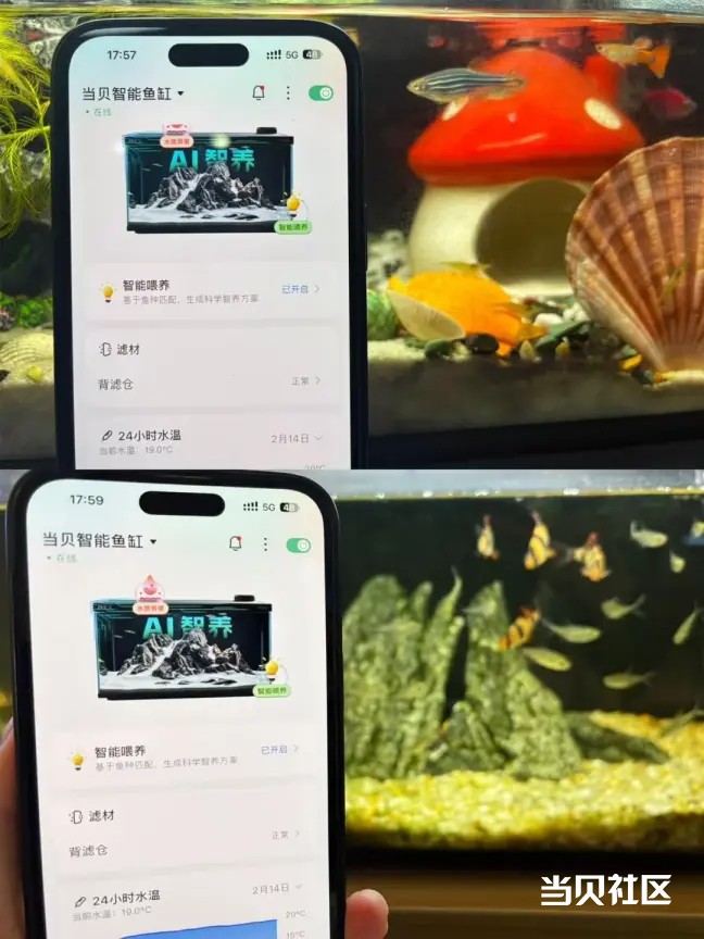 当贝鱼缸：全球首个搭载DeepSeek与通义千问的智能鱼缸，养...