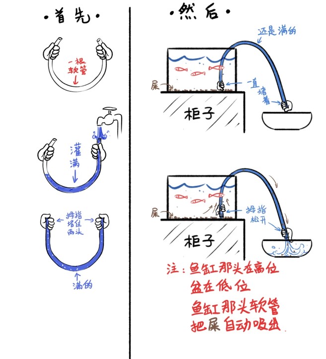 智能鱼缸换水全攻略：换水后死鱼，水质浑浊？问题在这里
