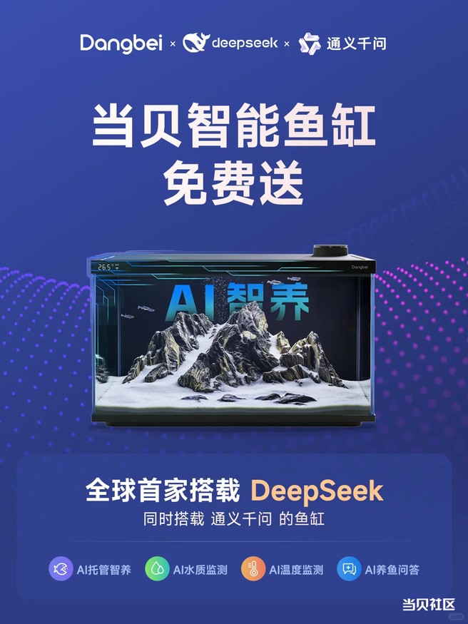 当贝智能生态鱼缸|95后杭漂新手养鱼，一键“鱼”快生活