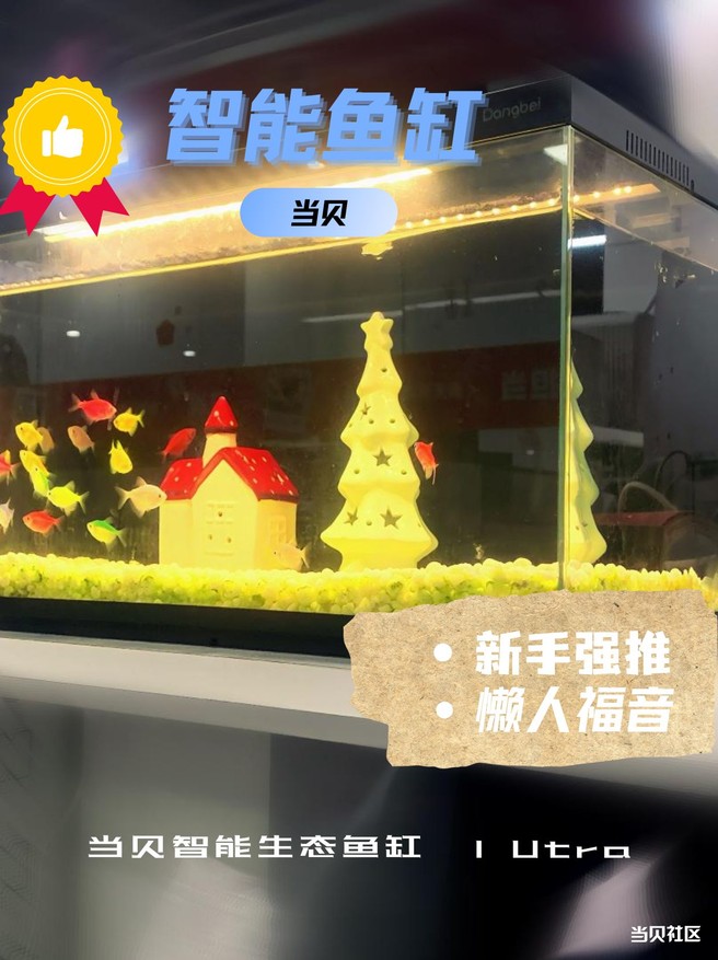 当贝智能生态鱼缸|95后杭漂新手养鱼，一键“鱼”快生活